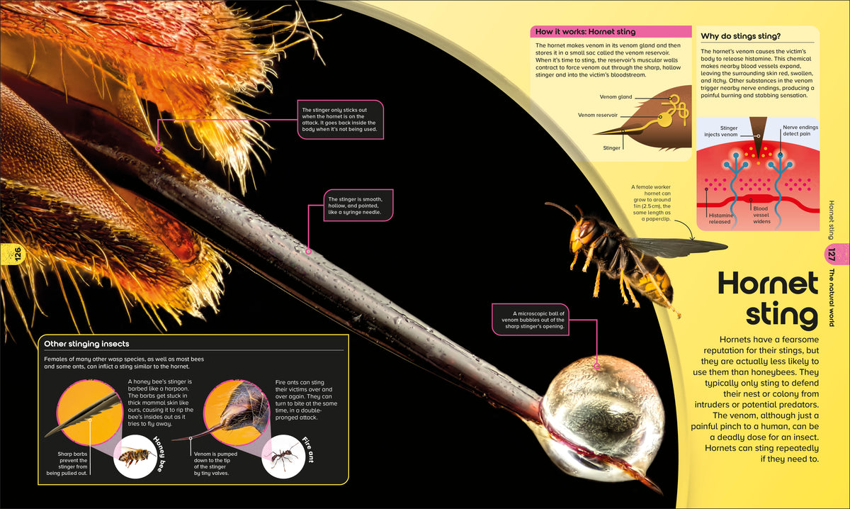 Book interior [onix-asset:ce781d212a5d271477573c2bd56c70ae95908b86975d3014fe555ebfae46532e]