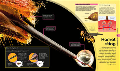Book interior [onix-asset:ce781d212a5d271477573c2bd56c70ae95908b86975d3014fe555ebfae46532e]
