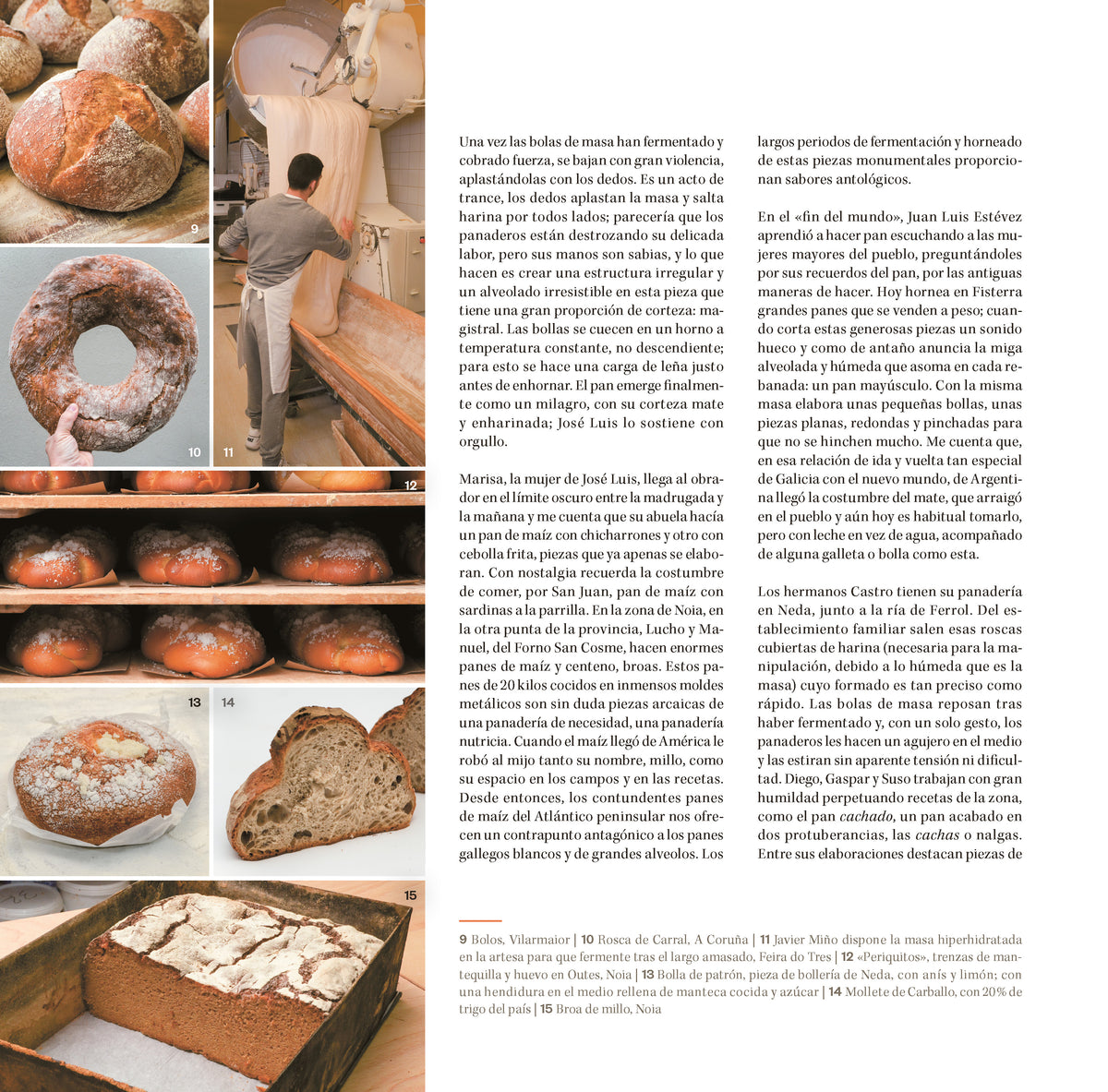 Pan de pueblo: Un viaje por los panes y panaderías de España (Edición premium) / Town Bread (Premium Edition) interior 2 (ISBN 9788425366987) [onix:73c62459a595ae2bdcdd5e18e7deffb0]