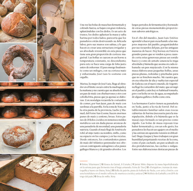 Pan de pueblo: Un viaje por los panes y panaderías de España (Edición premium) / Town Bread (Premium Edition) interior 2 (ISBN 9788425366987) [onix:73c62459a595ae2bdcdd5e18e7deffb0]
