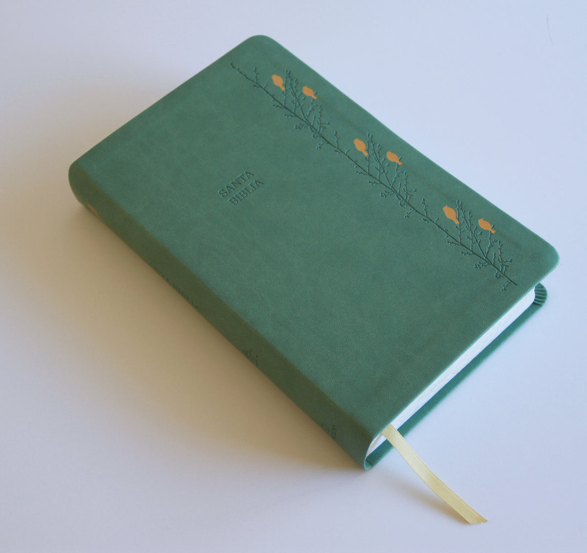 Biblia RVR 1960 Letra gigante símil piel verde con pájaros (Edición cantos pintados) / Spanish Bible RVR 1960 Giant Print Handy Size Leathersoft Green interior 1 (ISBN 9798890982254) [onix:6bb3950a65409c0dab8342d1066da82a]