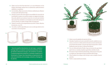 Cuida tus plantas para que ellas cuiden de ti: Despierta tu instinto planternal / Take Care of Your Plants So That They Take Care of You: Awaken Your Planternal interior 2 (ISBN 9788425361500) [onix:8b42c44f82365facf60d300c2566e9e5]