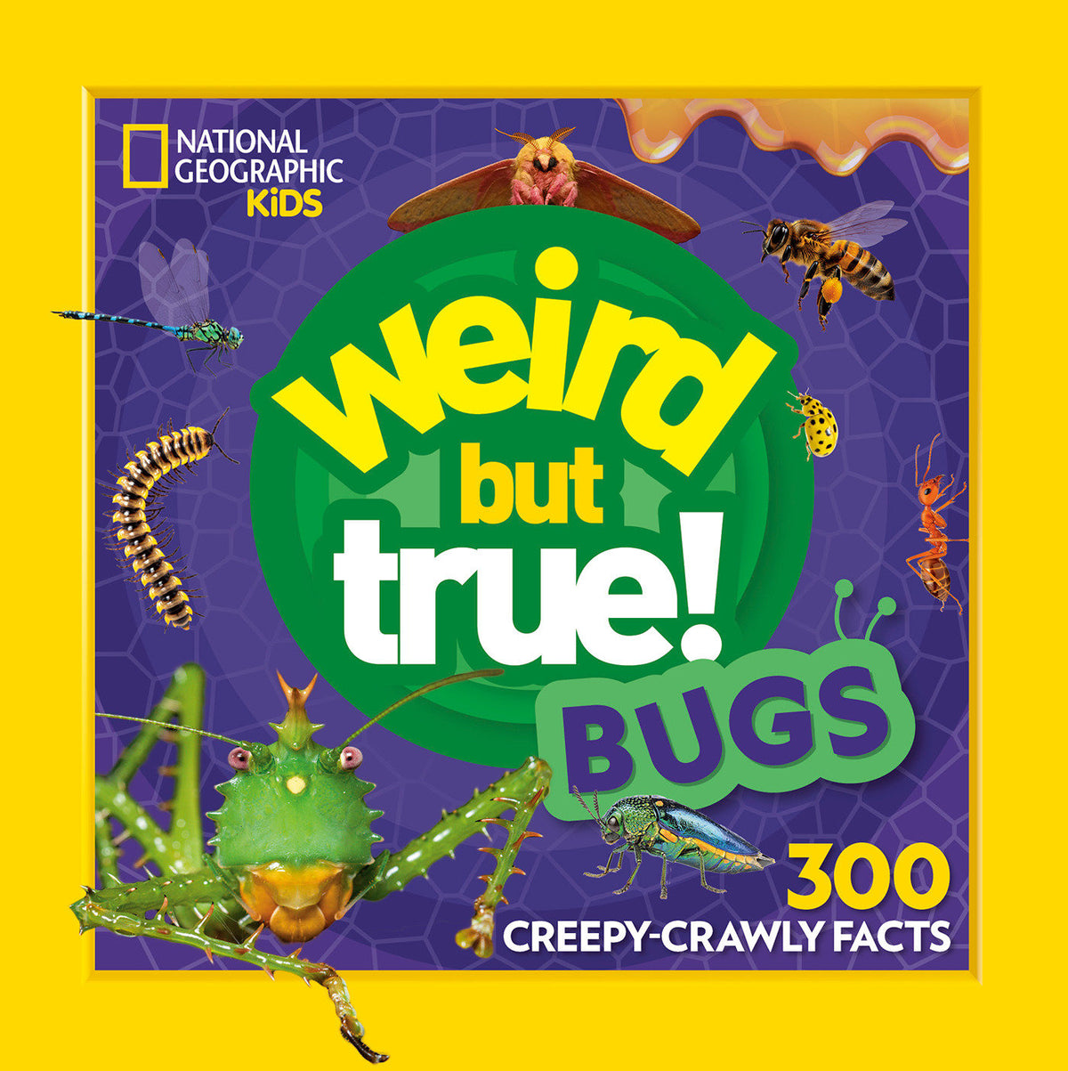 Weird But True! Bugs cover (ISBN 9798217225880) [onix-asset:c80ec8814307153c3dea5f3bcad6093f5afee2f877f0177e3d0097717368b51d]