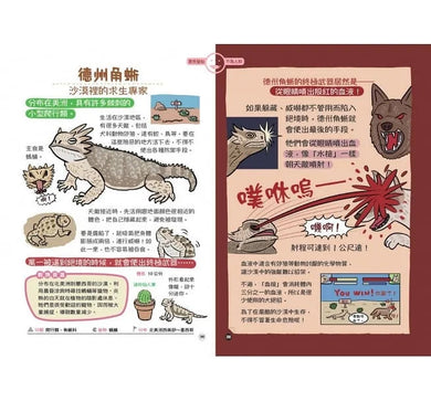 表裡不一的動物超棒的！圖鑑-非故事: 動物植物 Animal & Plant-買書書 BuyBookBook