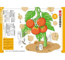 好奇孩子大探索：真的假的？原來植物這麼妙-非故事: 參考百科 Reference & Encyclopedia-買書書 BuyBookBook