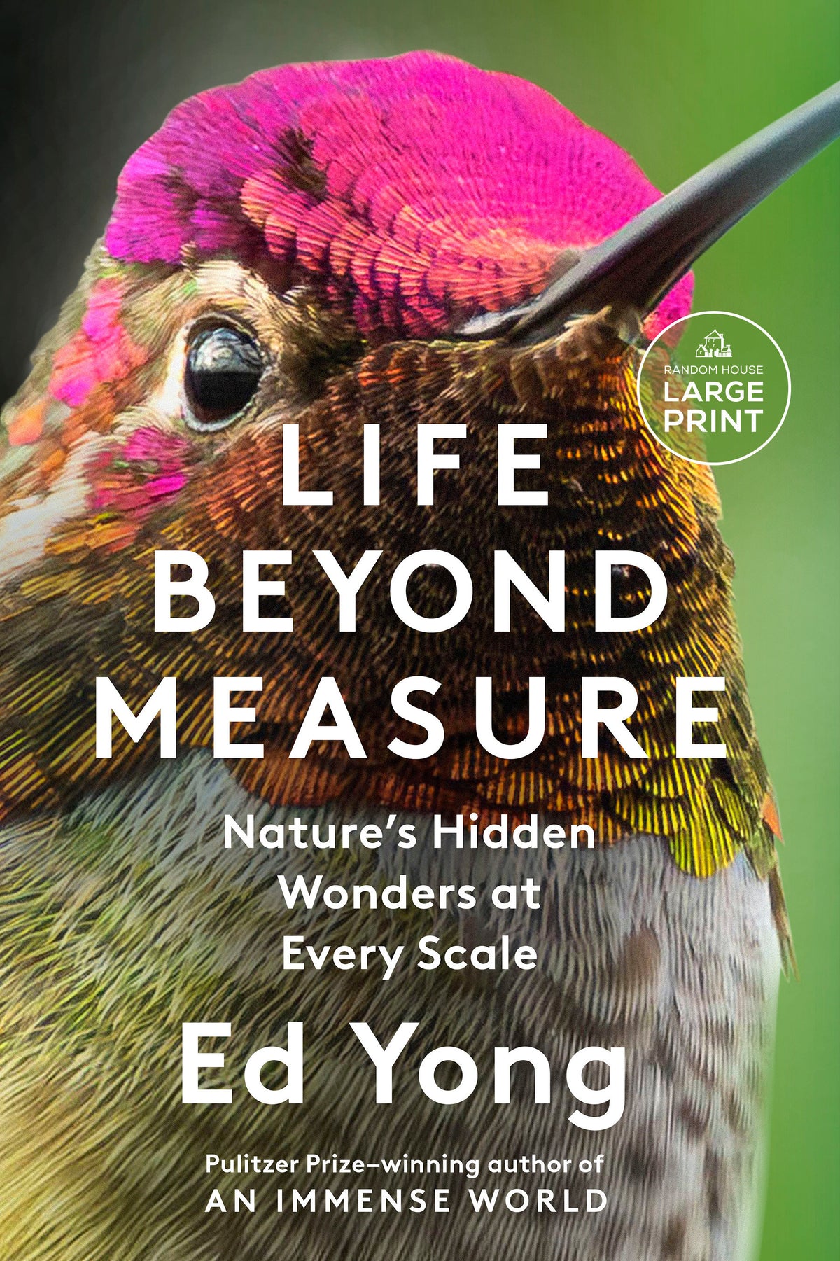 Life Beyond Measure cover (ISBN 9798217509508) [onix-asset:5b6f5b3df31dd9523c5d290039fa510d8ab49b1e4cc84321b7699d8ad1da0cd7]