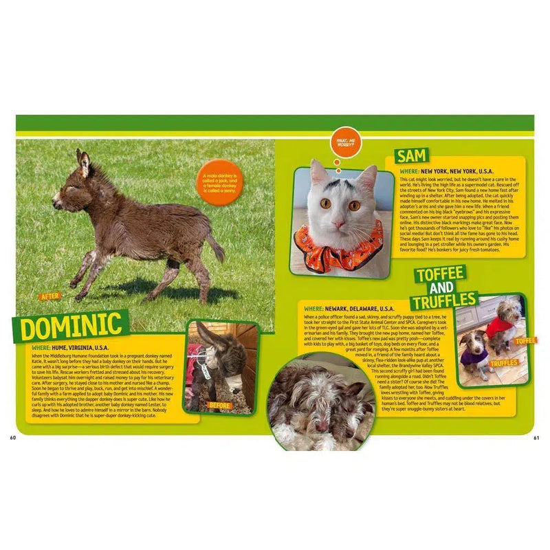 125 Pet Rescues: From Pound to Palace (National Geographic Kids) National Geographic