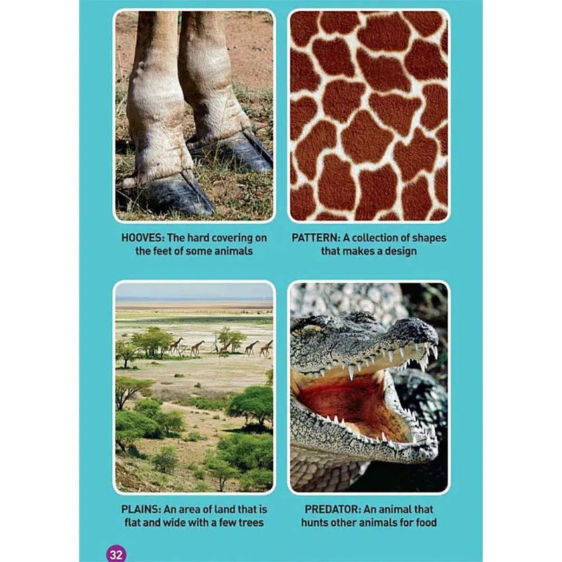 Giraffes (L1) (National Geographic Kids Readers) National Geographic