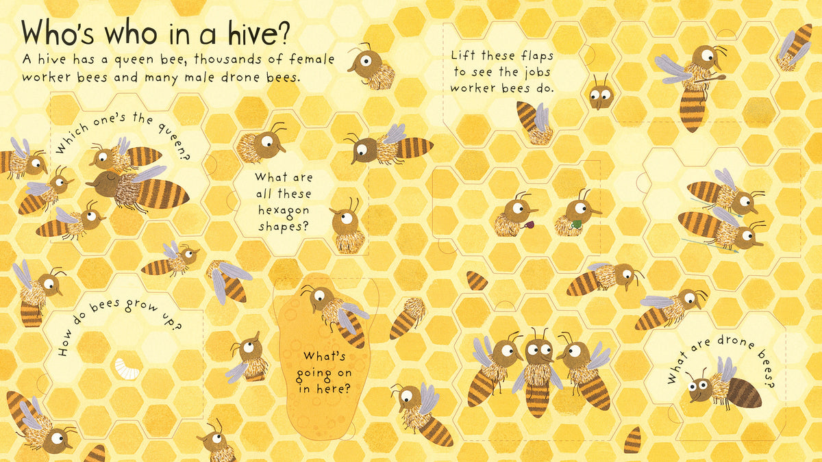 First Questions and Answers: Why do we need bees? interior 1 (ISBN 9781474917933) [onix-asset:c29ee2d4f5eae8354f825631fd8e5c174f923ddf631b0920f3ea2cf87f3138cf]