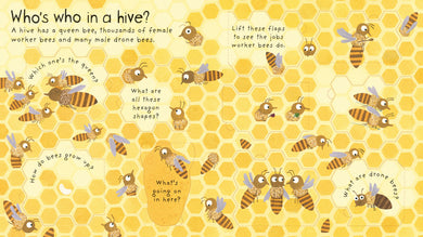 First Questions and Answers: Why do we need bees? interior 1 (ISBN 9781474917933) [onix-asset:c29ee2d4f5eae8354f825631fd8e5c174f923ddf631b0920f3ea2cf87f3138cf]