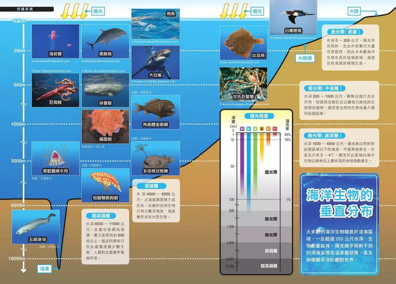 哆啦A夢科學任意門（11-15集）(藤子·F·不二雄)-非故事: 科學科技 Science & Technology-買書書 BuyBookBook