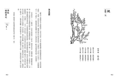 Inside Page 2