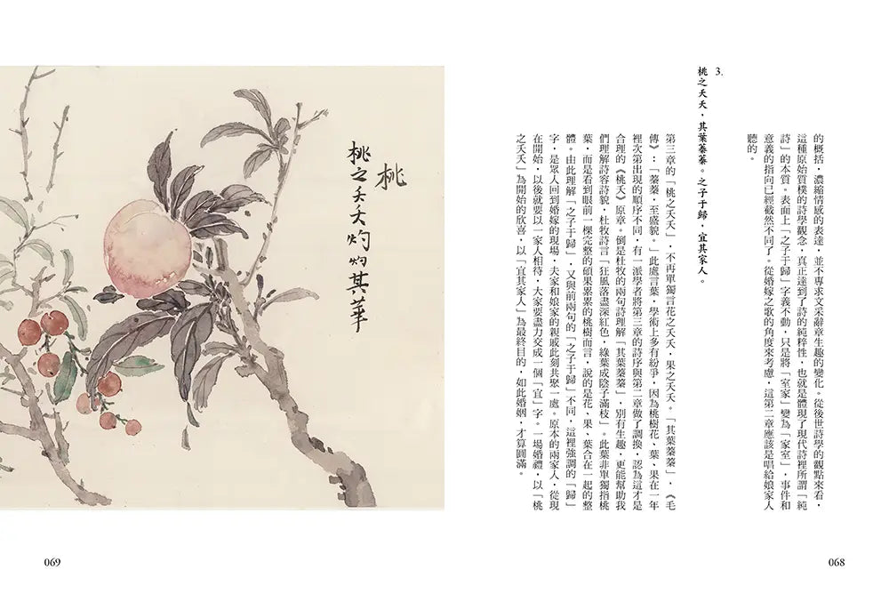 Inside Page 5