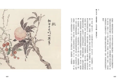 Inside Page 5