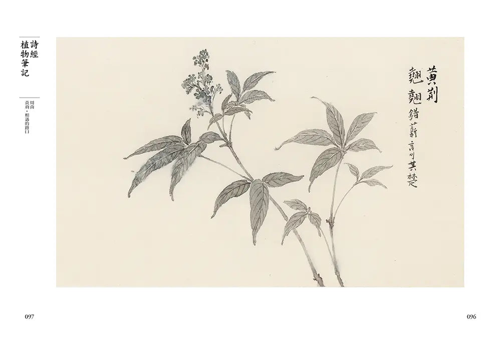 Inside Page 6