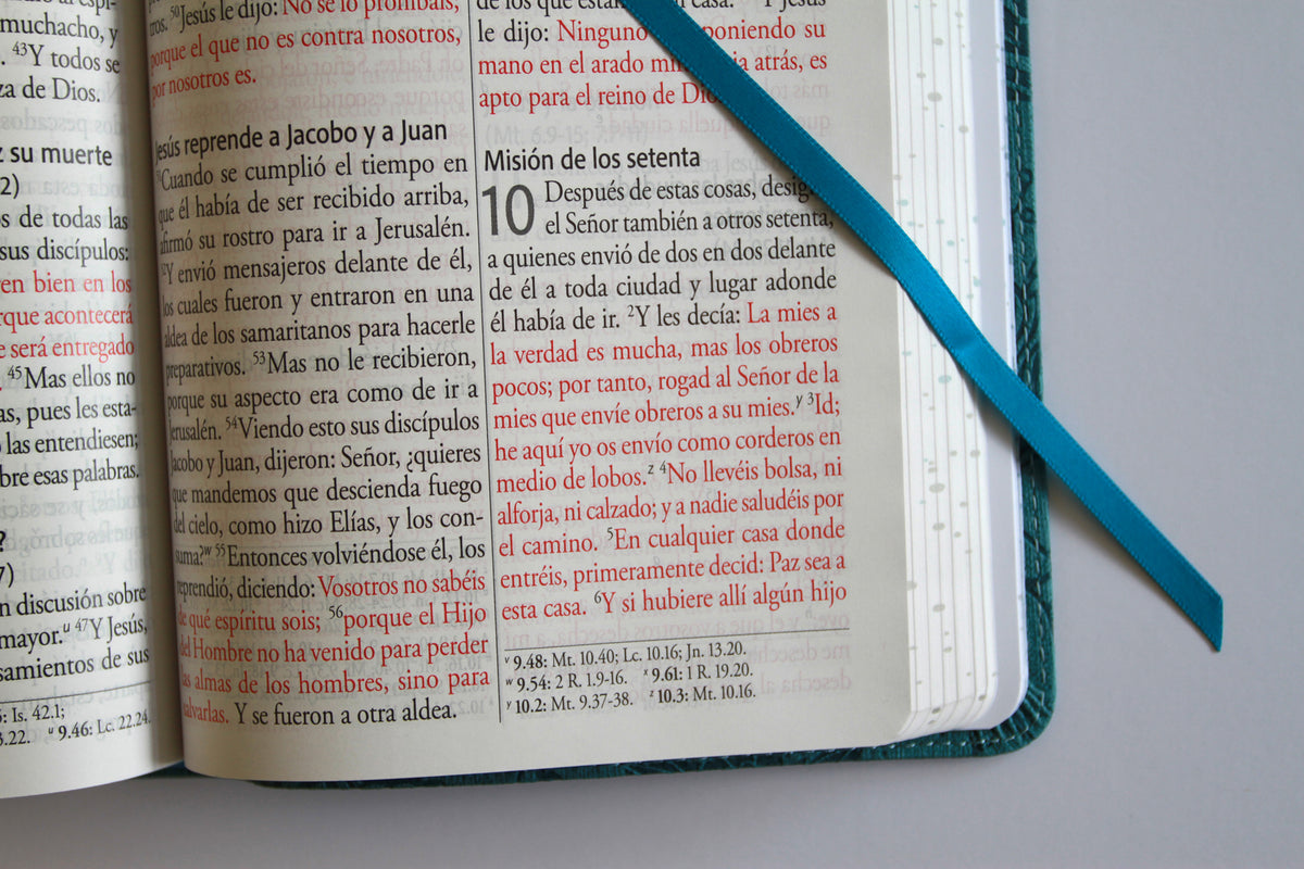 Biblia RVR 1960 Letra gigante, símil azul con Pájaros(Edición cantos pintados) / Spanish Bible RVR 1960 Giant Print Handy Size Leathersoft Light Blue interior 7 (ISBN 9798890982261) [onix:ef47e3865d29f49f8cf727ff06ce02ee]