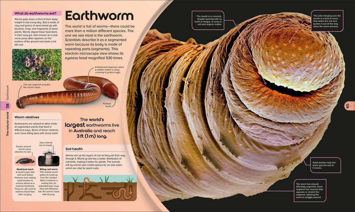 Book interior [onix-asset:4f5f277cd6760da896de98f352df2068dcef1e0c574388116e7f3e255c864b5b]