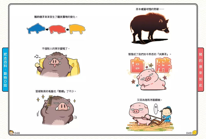 肥志百科8：原來你是這樣的動物D篇-非故事: 動物植物 Animal & Plant-買書書 BuyBookBook