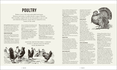 The Meat Cookbook interior 2 (ISBN 9780241491317) [onix-asset:4fa2eb189f8bee87338e4a8bab4fdf06a33ae40cbfa8e79322bf5a358f42b83e]