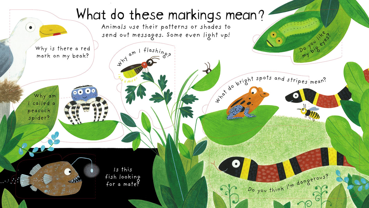 First Questions and Answers: How Do Animals Talk? interior 1 (ISBN 9781474940085) [onix-asset:8b0329daaae5c0dd6deadb8f145e0e9168ad5f8e964a6fef28060fe89d8f712d]