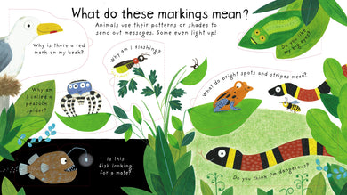 First Questions and Answers: How Do Animals Talk? interior 1 (ISBN 9781474940085) [onix-asset:8b0329daaae5c0dd6deadb8f145e0e9168ad5f8e964a6fef28060fe89d8f712d]