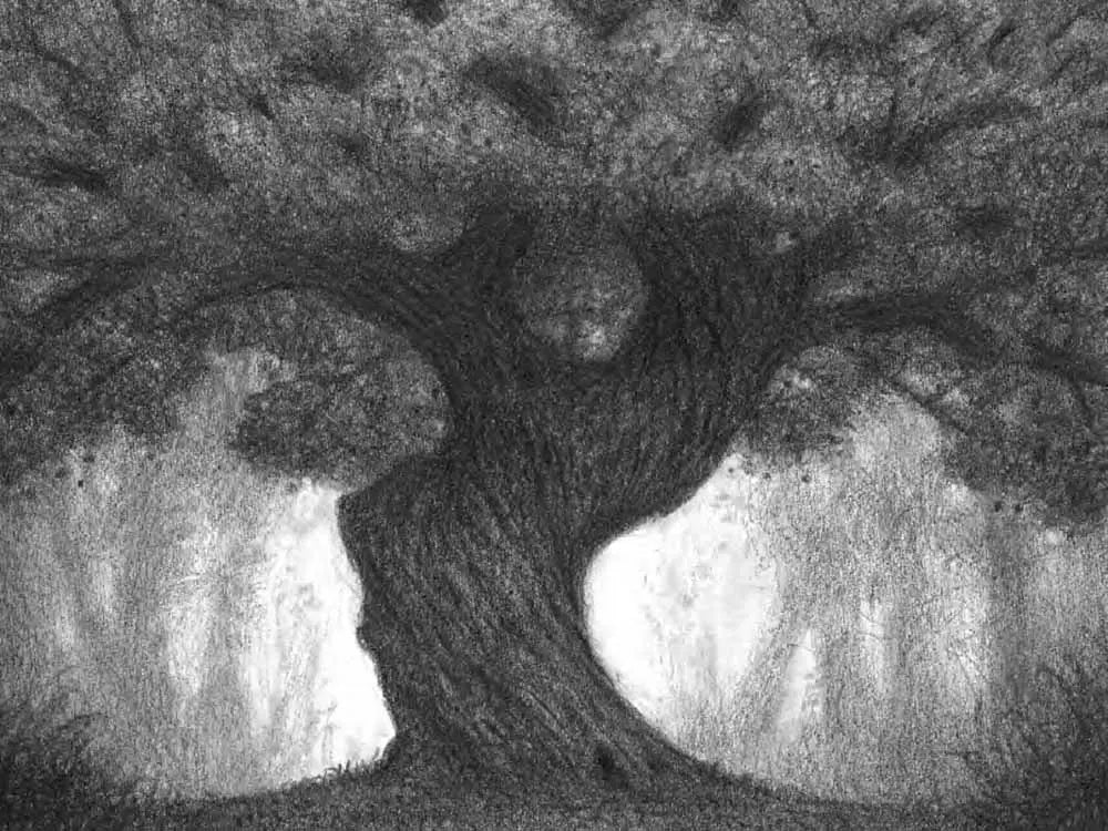 大樹的祕密+雨果的祕密（套書加贈月下的新生帆布袋）-Children’s / Teenage fiction: Science fiction-買書書 BuyBookBook