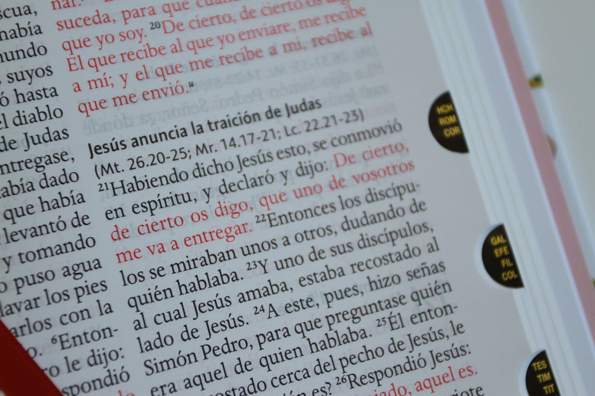 Biblia Reina Valera 1960 letra grande. Tela rosada con flores, manual con índice / Spanish Bible RVR 1960, Large Print, Pink Floral Cloth with Index interior 4 (ISBN 9798890981653) [onix:41226a37f5dd103ae7965cd09bcf1a46]
