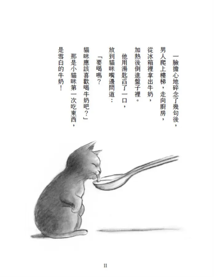 書店裡的魯比貓：【溫暖療癒×人際互動×成長探索】魯比誕生了！尋找自己的紅寶石，獻給每一個微小、卻努力發光的你-Children’s / Teenage fiction: Action and adventure stories-買書書 BuyBookBook