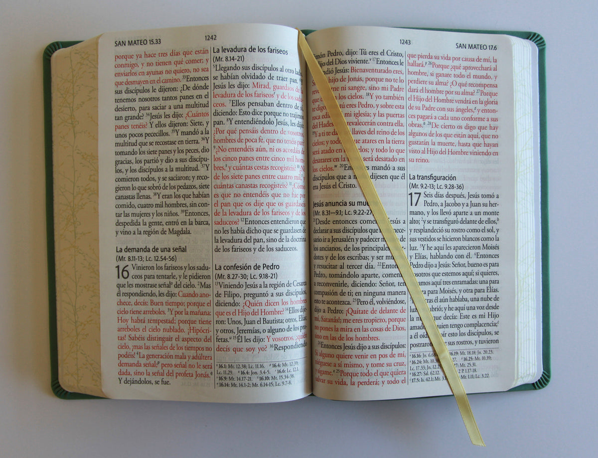 Biblia RVR 1960 Letra gigante símil piel verde con pájaros (Edición cantos pintados) / Spanish Bible RVR 1960 Giant Print Handy Size Leathersoft Green interior 8 (ISBN 9798890982254) [onix:7abbfea4a340413beebdadb528c2217f]