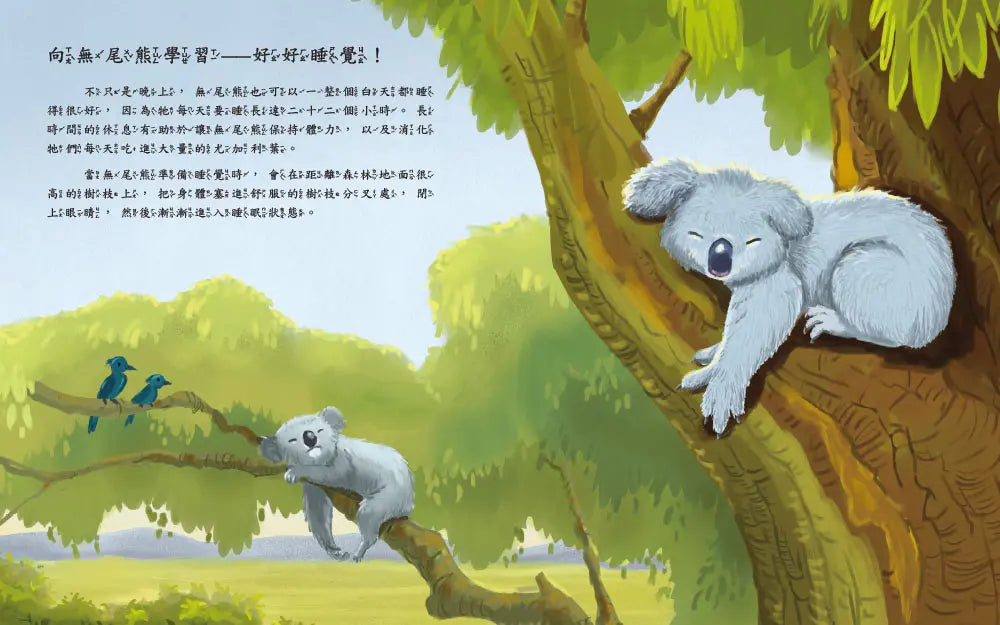 向動物學習：啟發孩子的神奇動物行為．天生我材必有用