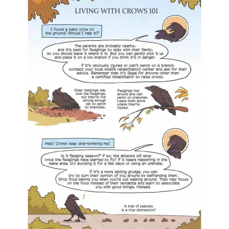 Science Comics: Crows: Genius Birds First Second