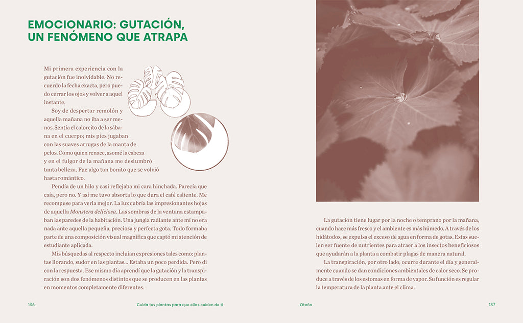 Cuida tus plantas para que ellas cuiden de ti: Despierta tu instinto planternal / Take Care of Your Plants So That They Take Care of You: Awaken Your Planternal interior 4 (ISBN 9788425361500) [onix:e5d700f59536a903b562cc7d591c29fe]