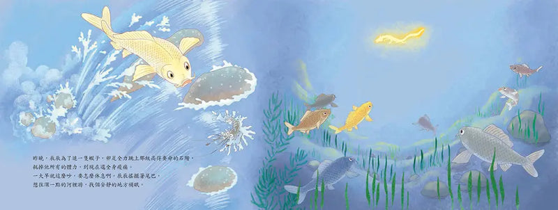十二小守護過新年：我是鯉小龍-Children’s picture books-買書書 BuyBookBook