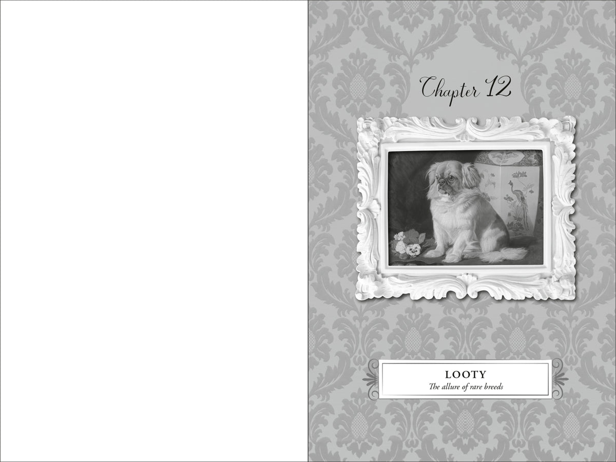 Book interior [onix-asset:ebb6ce0e06f0d9de7f985cb1f57f1ac2168cf17e34e73394d37aedf7a51791dc]