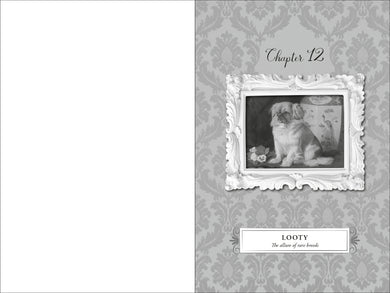 Book interior [onix-asset:ebb6ce0e06f0d9de7f985cb1f57f1ac2168cf17e34e73394d37aedf7a51791dc]
