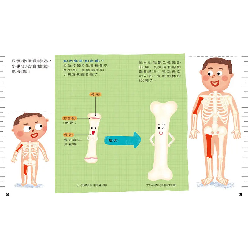 知識探索繪本 5: 哦! 骨頭 (附光照設計貼紙)