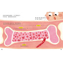 知識探索繪本 5: 哦! 骨頭 (附光照設計貼紙)