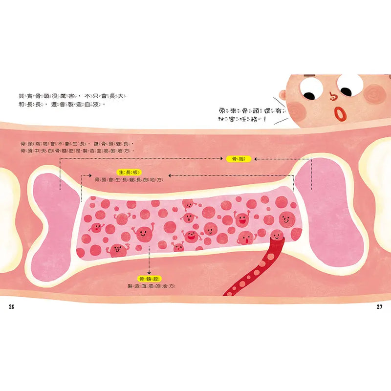知識探索繪本 5: 哦! 骨頭 (附光照設計貼紙)
