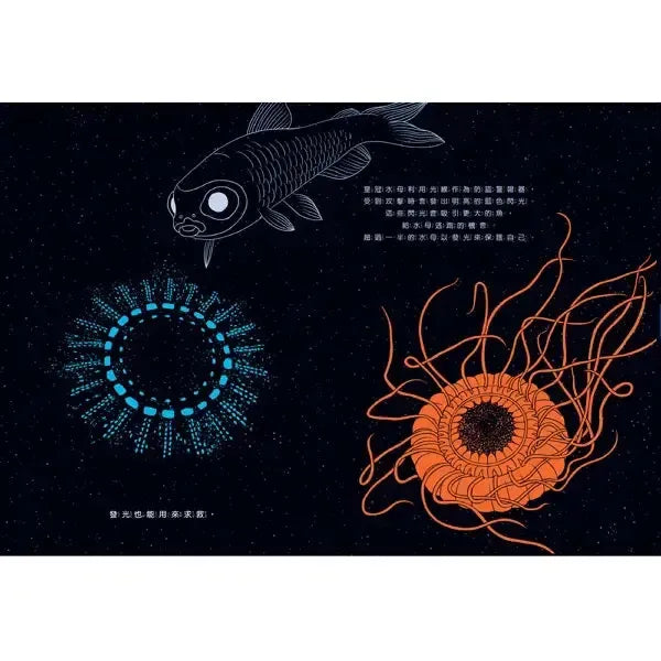 夜光：點亮黑暗的生物-Children’s picture books-買書書 BuyBookBook