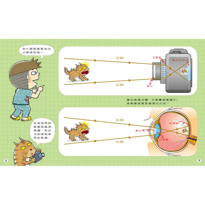 知識探索繪本 6: 哇! 眼睛