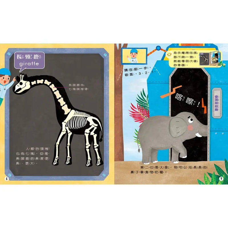 神祕的骨頭照相機-Children’s / Teenage general interest: Nature and animals-買書書 BuyBookBook