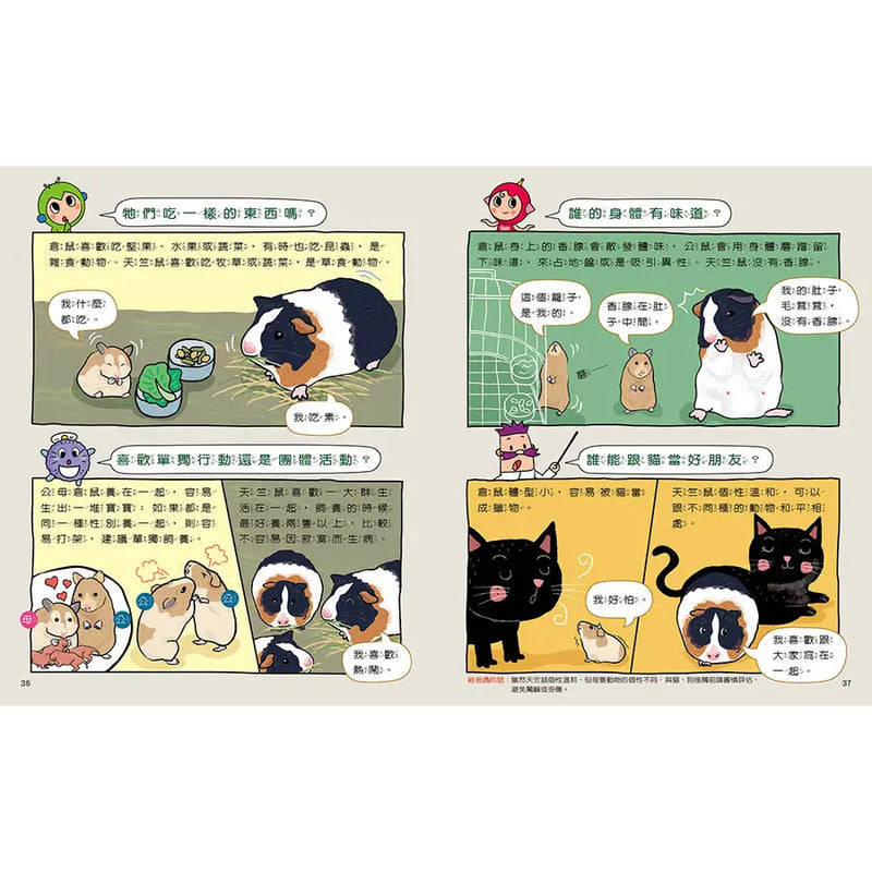 動物比一比1-Children’s / Teenage general interest: Nature and animals-買書書 BuyBookBook