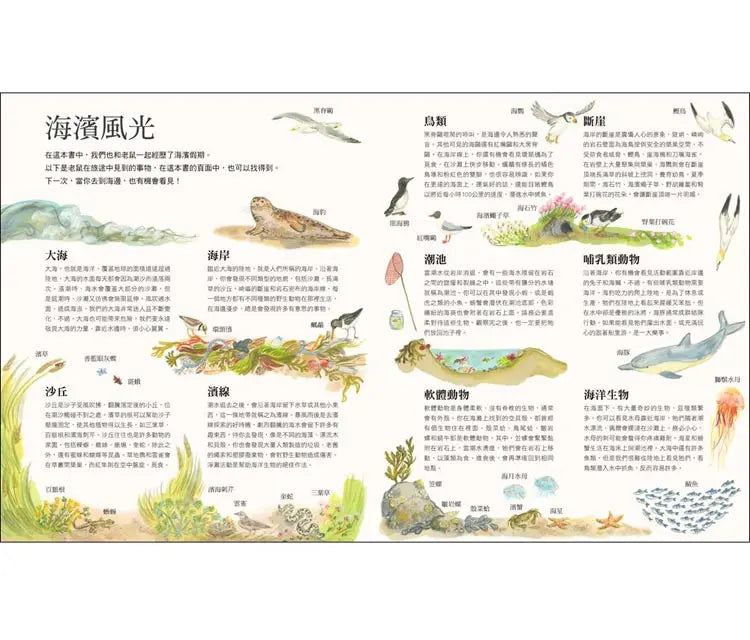 老鼠的海濱假期 (艾莉絲．梅爾文) (翻翻書)-Children’s picture books-買書書 BuyBookBook