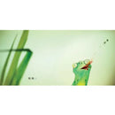 青蛙哥哥的美夢-Children's picture books-買書書 BuyBookBook