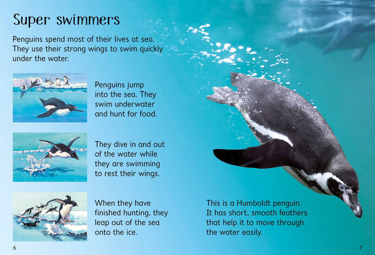 Penguins interior 1 (ISBN 9780746099667) [onix-asset:6dc49307bef4f51397c7e8aef0c6e21e322ae95bb25e12d761ab3a5b13cb4dfc]