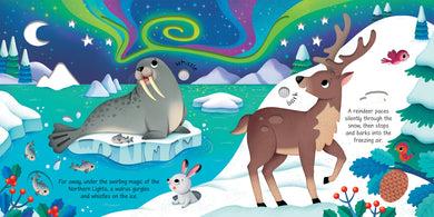 Wild Animals Sound Book interior 1 (ISBN 9781474991803) [onix-asset:29d12c35a0ef9c1890a674a46f886a0a5282bd91041ea094a524066a535c97ec]