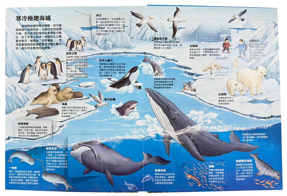 大知識大百科3D立體書——大海洋