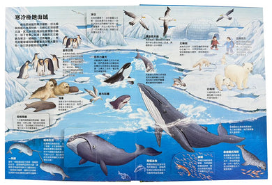 大知識大百科3D立體書——大海洋