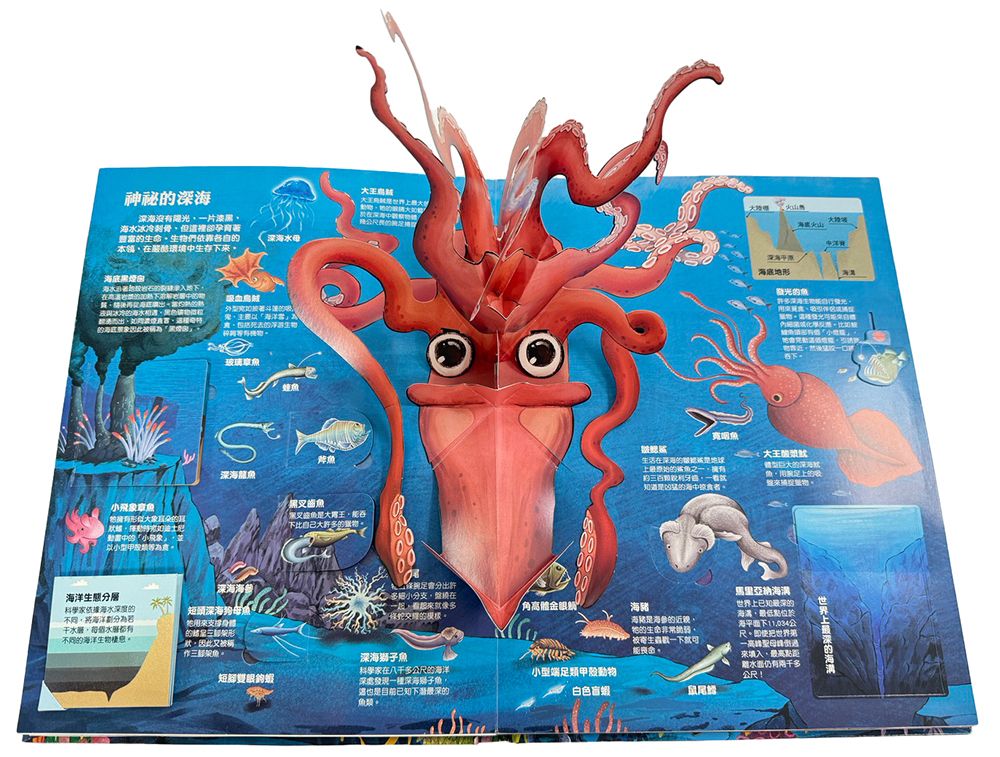 大知識大百科3D立體書——大海洋
