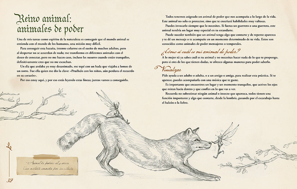 Magia. Tu cuaderno secreto / Magic. Your Secret Notebook interior 2 (ISBN 9788419982469) [onix:3a6d50bde7806e7d87ca2fcbf25184f1]